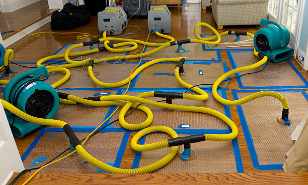 Professional Crawl Space Water Removal technician working in Dennysville, ME